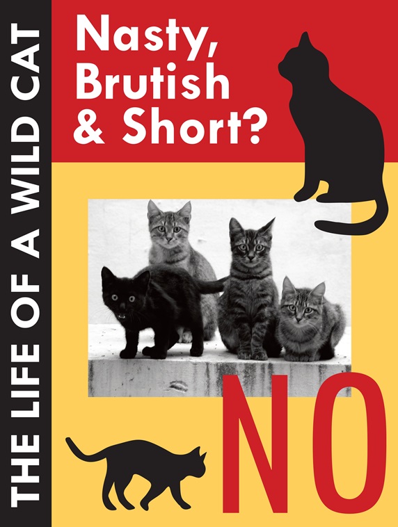 Images for Ferals Blog 1_0001