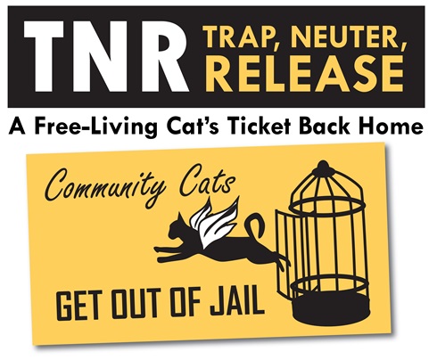 TNR IMage_0001